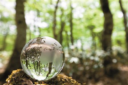 ErP-Earth_wood